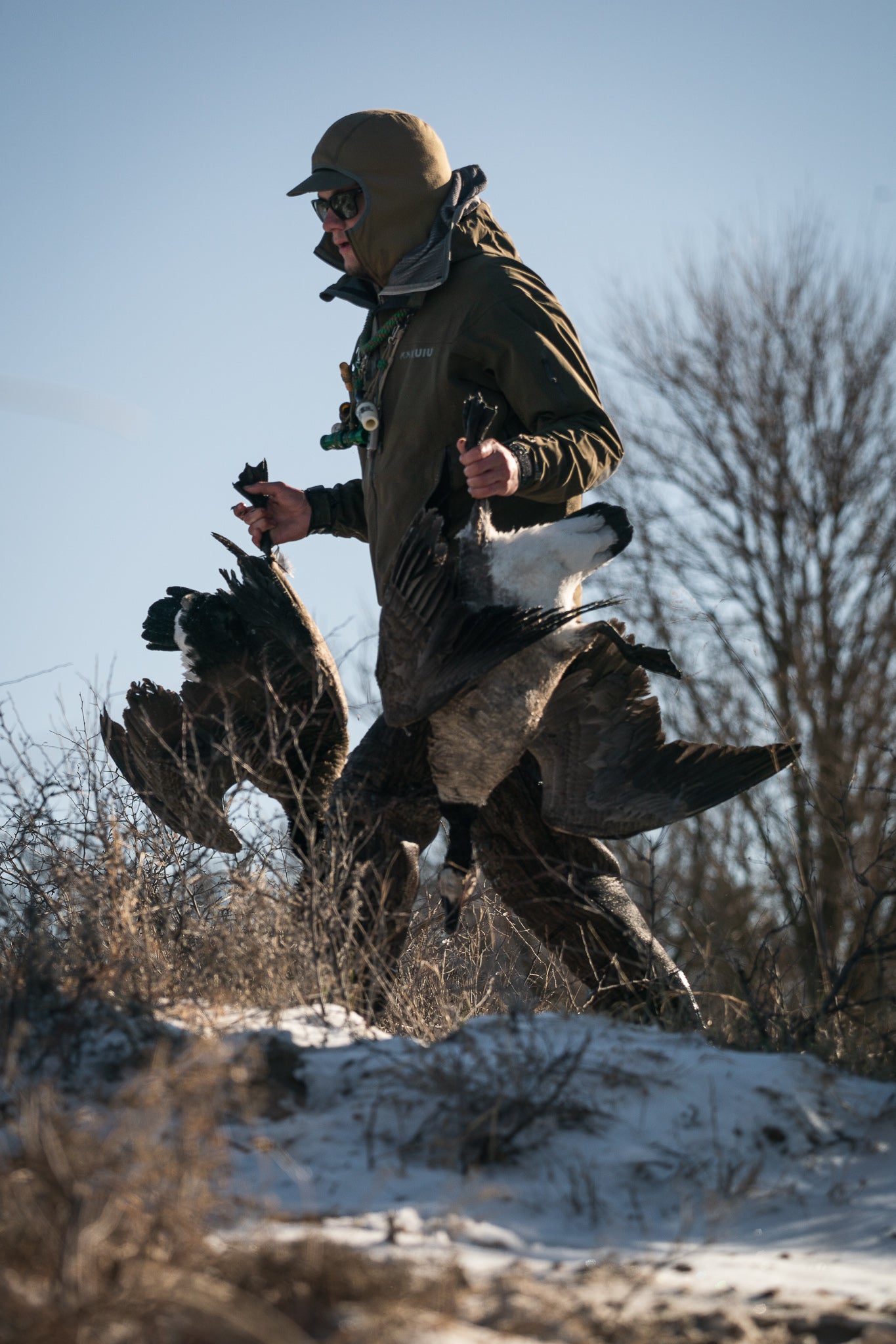 Goose Calls