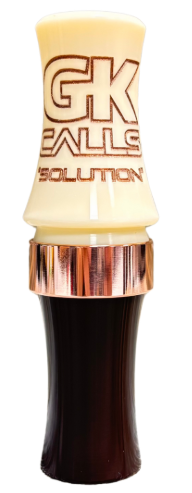 Solution