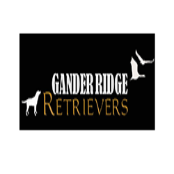 Gander Ridge Retrievers logo